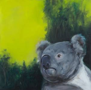 Koala, 2010, 60x60 cm