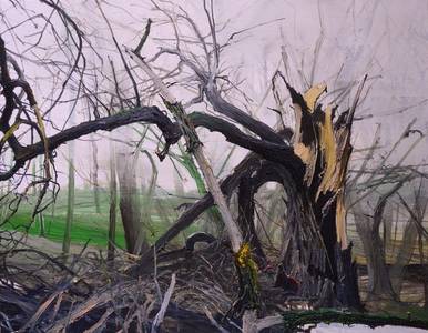 Helge, WISSEN UND VERGESSEN vom Verschwinden eines alten Baumes und dessen Wiedergeburt, Öl/ Leinwand, 2022, 80 x 110 cm
