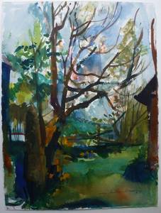 Müller-Linow, Hinter dem Haus in Hochscheid, Aquarell, 1989, 72x57 cm