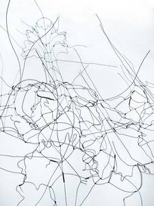 Brigitte Schwacke, La porte cachée (Detail), legierter Draht, 2017, 220x85x23 cm
